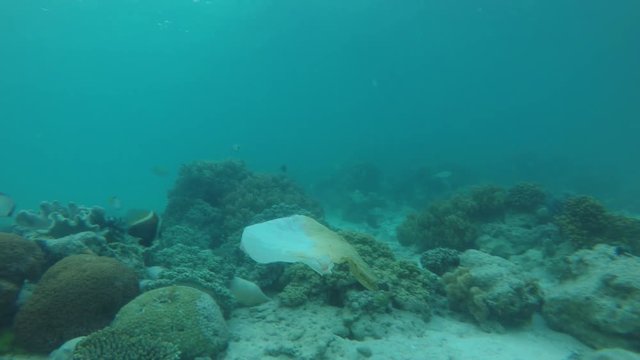 Plastic bags and bottles pollution in ocean