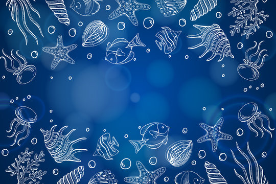Composition of seashells, starfish, jellyfish. Underwater world Sea background, Background with copy space.