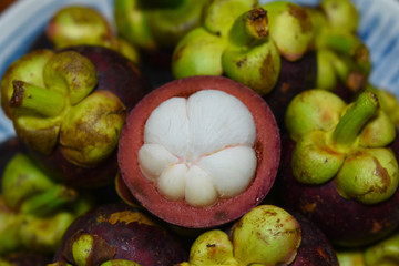 Garcinia mangostana tropical mangosteen fruit