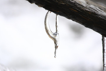 water and ice in the river
