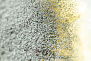 Backgrounds of Penicillium, ascomycetous in petri dish for well as food and drug production.