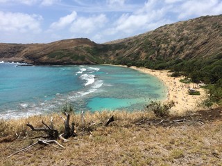 Cove 