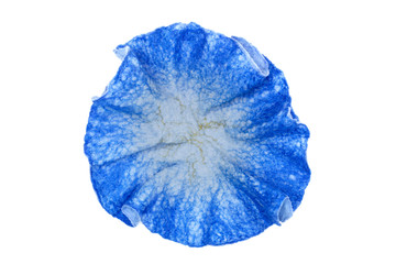 Abstract background for design created from wool, for decoration, text design, template.