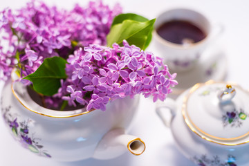 Porcelain tea set decorated with lilac, summer morning