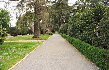 Road in the park in spring