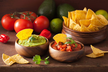 mexican guacamole and salsa dip, nachos tortilla chips