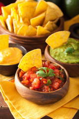mexican nachos tortilla chips with guacamole, salsa and cheese dip