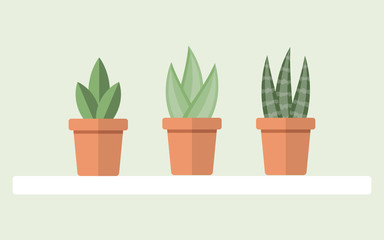 Potted Plants