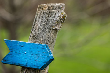 Fototapeta premium Follow the blue wooden arrow.