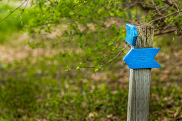 Follow the blue wooden arrow.