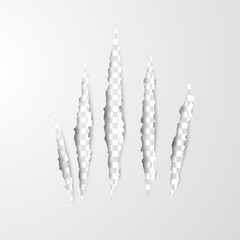 Paper art and craft of Claws scratches isolated on transparent background.vector illustration