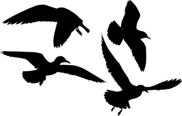 set of four seagull black silhouettess