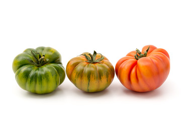 Tomatensorte Marinda