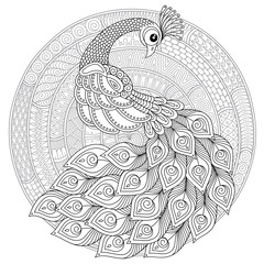 Peacock in zentangle style. Adult antistress coloring page. - 205227430
