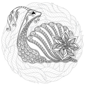Illustration of a snail.