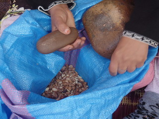 A Moroccan woman crushing organ nuts by hand for the production of argan oil