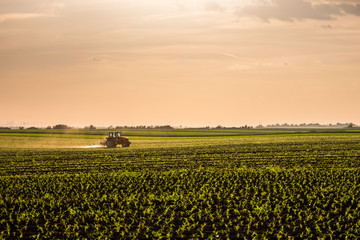 Farmer spraying soybean crops
