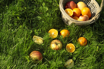 Apples and oranges, fruits on green grass, picnic