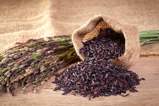 Riceberry organic food