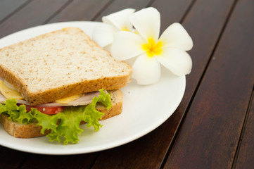 sandwich put on white dish and decorate with white Plumeria flowers,sandwich ham cheeze