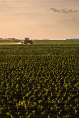 Farmer spraying soybean crops