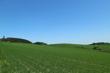 Weifberg bei Hinterhermsdorf und Umgebung