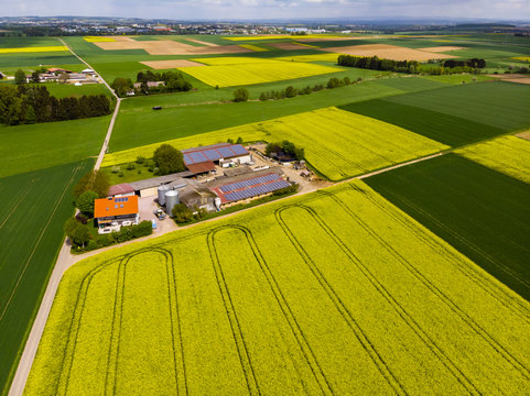 Bl&uuml;hende Rapsfelder (Brassica napus), Geh&ouml;ft mit Solarstrom und Biogas, Kreis Friedberg, Wetterau, Hessen, Deutschland