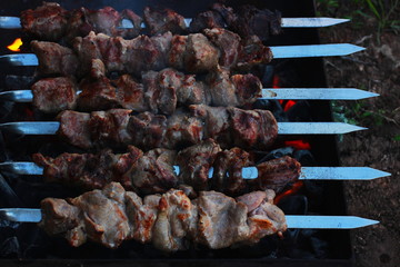 meat on skewers on hot coals