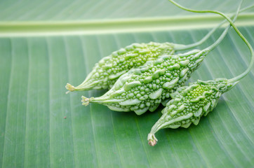 Bitter gourd on Banana leaf