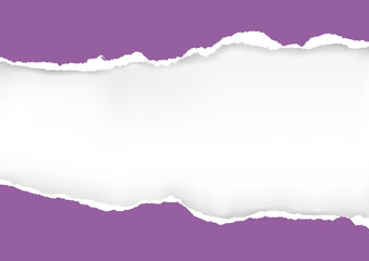 Fototapeta premium Violet ripped paper background. llustration of violet ripped paper with place for your image or text. Vector available. 