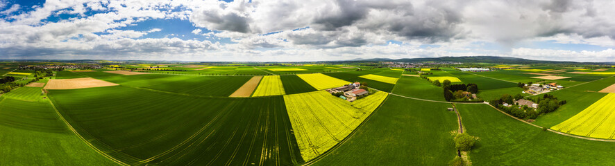 Bl&uuml;hende Rapsfelder (Brassica napus), Kreis Friedberg, Wetterau, Hessen, Deutschland