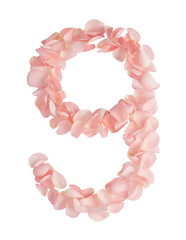Obraz premium Number 9 Made of Flowers. Number Monogram