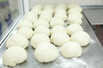 Fototapeta na wymiar pieces of dough lying on a steel table top