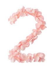 Number 2 Made of Flowers. Number Monogram