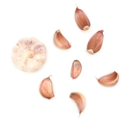 fresh organic garlic isolated on white background
