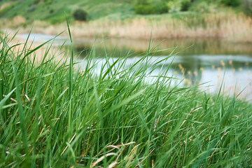 hills, grass and lake