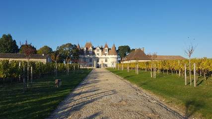 Chateau Montbazillac In The Vines