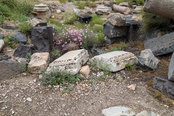The remains  of the column in the ruins of the Greek - Roman city of the 3rd century BC - the 8th century AD Hippus - Susita on the Golan Heights near the Sea of Galilee - Kineret, Israel