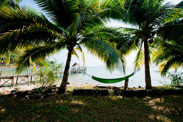 Fototapeta na wymiar A hammock between palm trees on the beach of Koh Chang, Thailand.