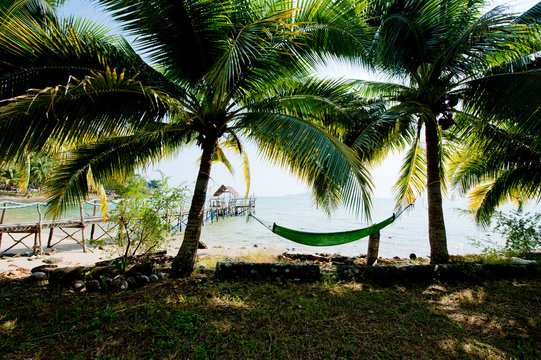A hammock between palm trees on the beach of Koh Chang, Thailand.