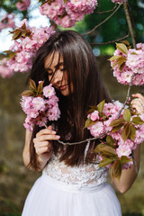 Beautiful brunette woman smells pink flowers on blooming sakura tree