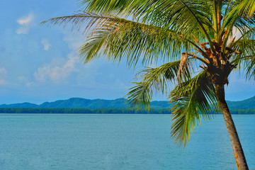 Vacation time concept, Coconut tree with sea view.