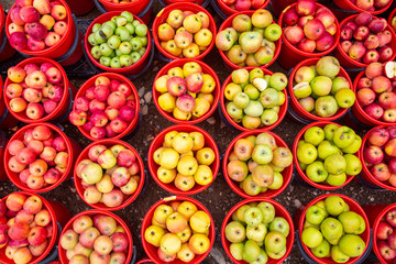 Bright colored apples in buckets © Georgii