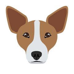 Welsh corgi avatar