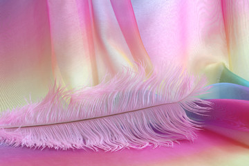 Beautiful delicate pink feather background - large light pink ostrich feather laid across rainbow coloured chiffon material with copy space above
