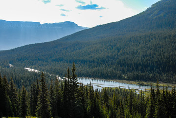 春のカナディアン・ロッキー　バンフ国立公園　モレーン湖から流れ出す川（カナダ）