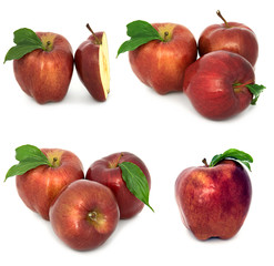 many different apples on a white background, red and yellow apples without background, many different.