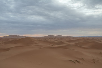 Obraz na płótnie Canvas deserto