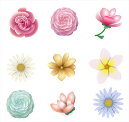 Pink flowers of roses, magnolias, chrysanthemums, gladiolus against a white board. Vector graphics