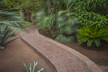 giardino viale passaggio verde ombra